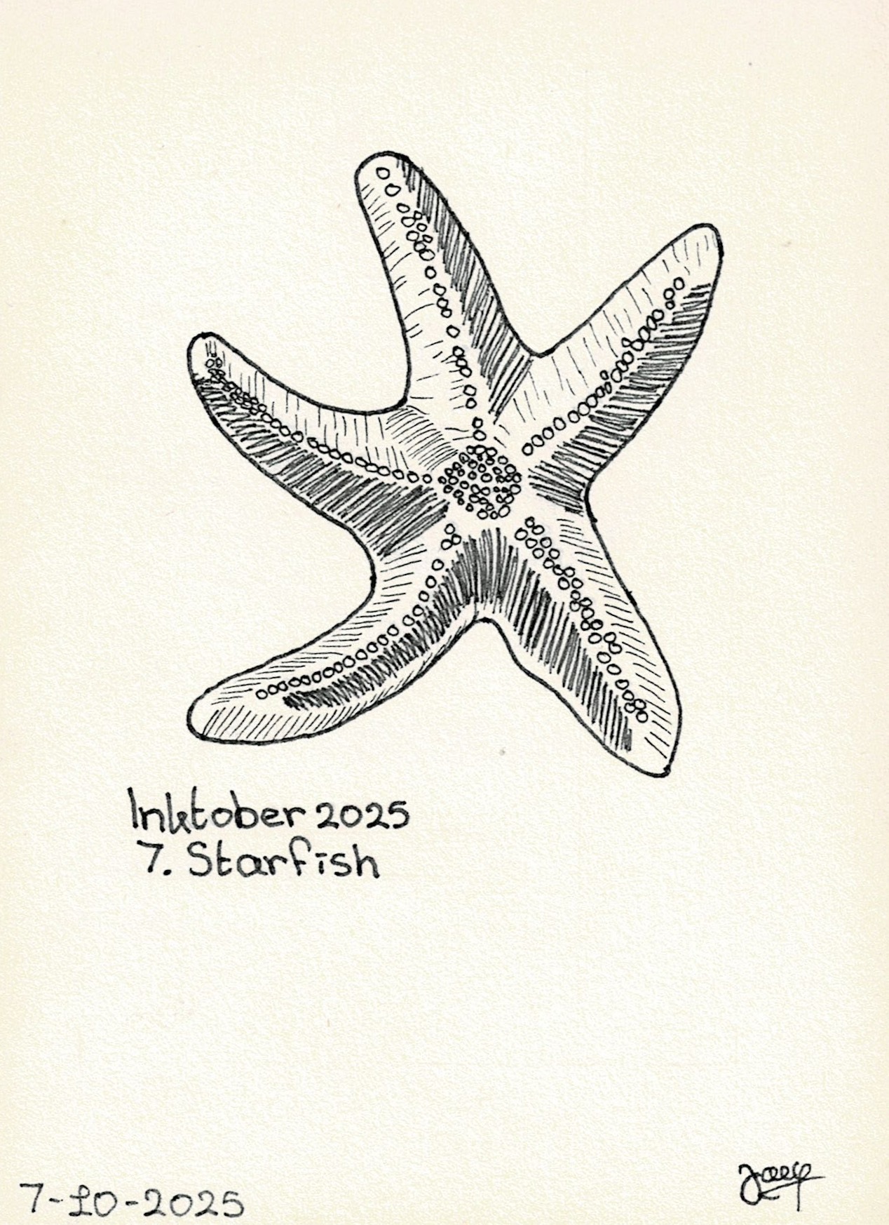 7. Starfish
